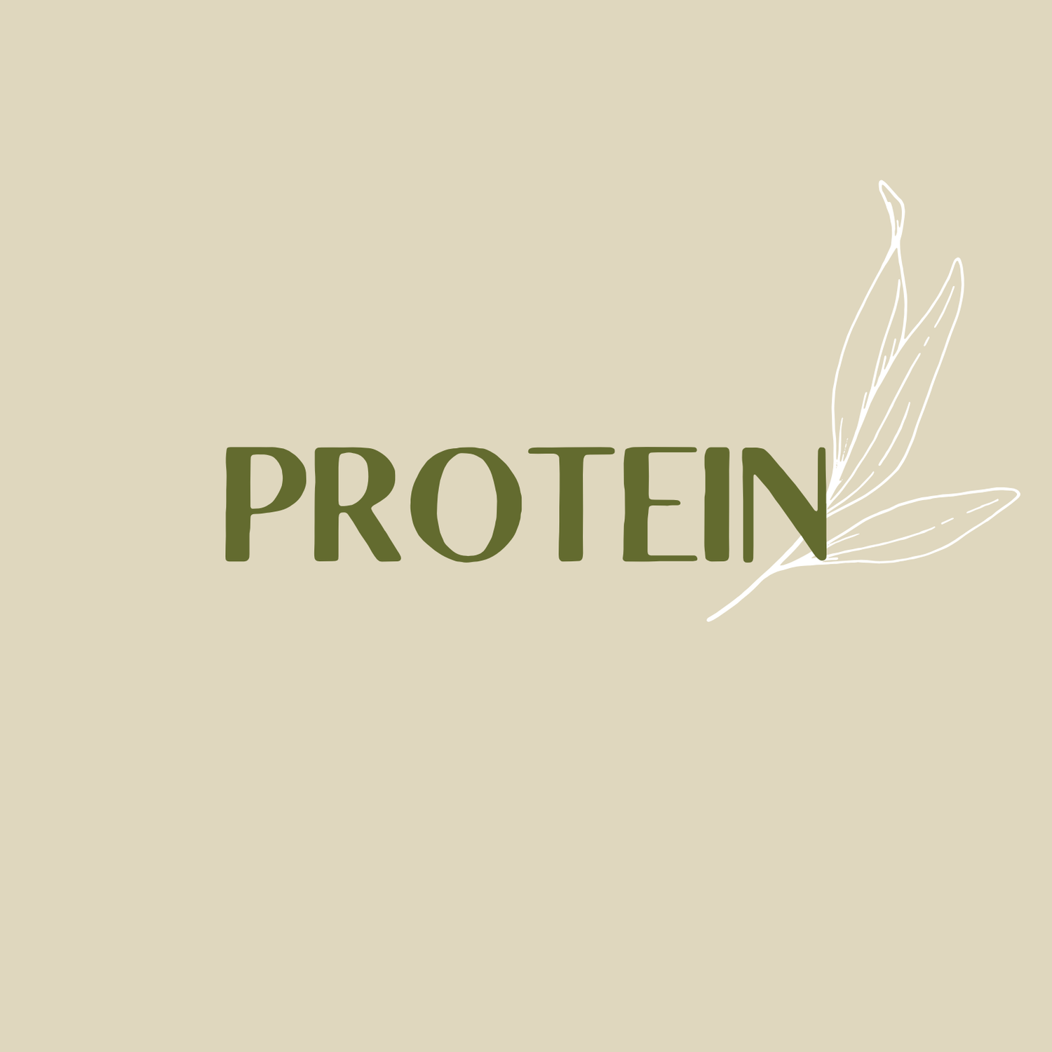 Protein