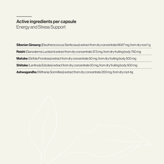 Energy and Stress Support (60 Capsules)