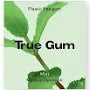 True Gum - Mint 21g